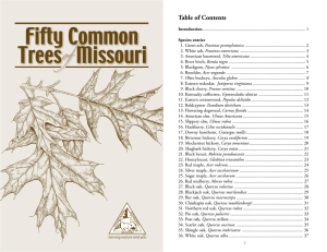 50 Common Trees of Missouri - Forest and Woodland Association of
