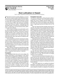 Noni cultivation in Hawaii - ctahr