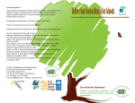 ES Plant Guide - Bahamas Reef Environment Educational Foundation