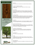 Bocote - Keim Lumber Company