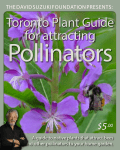 Pollinators - David Suzuki Foundation