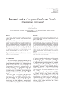 Taxonomic review of the genus Crambe sect. Crambe