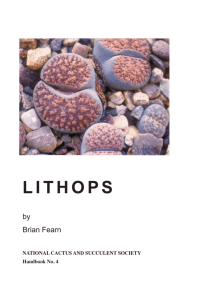 LITHOPS - cactuspro
