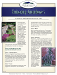 Groundcover Plants for Xeriscape