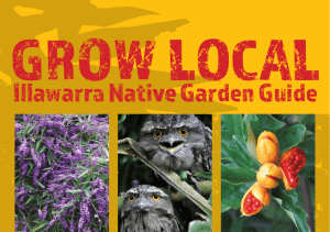 Illawarra Native Garden Guide - Wollongong City Council