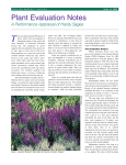 Issue 14 - Hardy Sages RE0108 PE Notes salvia.final