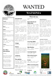Watsonia Factsheet - Blackwood Basin Group