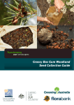 Grassy Box Gum Woodland Seed Collection Guide