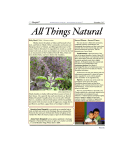 Al Things Natural