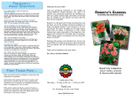 planting and growing guide - Roberta`s Gardens