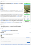 Maytenus boaria - Wikipedia, the free encyclopedia