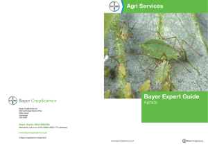 Bayer Expert Guide - Bayer CropScience