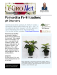 3.59 - Poinsettia Fertilization