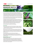 invasive watch - The DOW Chemical Company