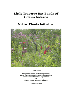 Little Traverse Bay Bands of Odawa Indians Native Plant Initiative