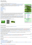 Ulmus thomasii - Wikipedia, the free encyclopedia