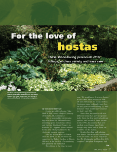 hostas - Oregon Association of Nurseries