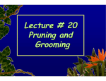 Lecture # 20 Pruning and Grooming