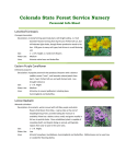 Colorado State Forest Service Nursery