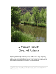 A Visual Guide to Carex of Arizona