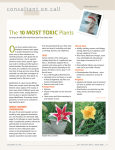 The 10 MOST TOXIC Plants