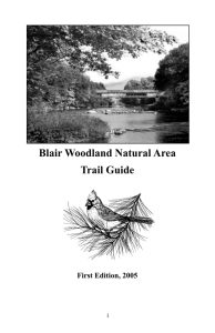 Blair woodland booklet