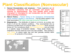 Plant Classification (Nonvascular)