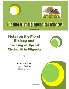 Notes on the Floral Biology and Fruiting of Cycad Circinalis in Nigeria