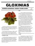 gloxinias - Humber Nurseries Ltd.