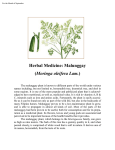 Herbal Medicine: Malunggay (Moringa oleifera Lam.)