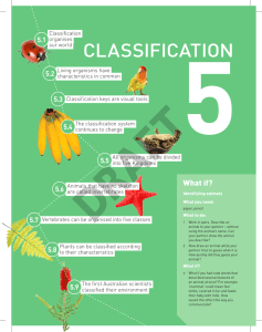 CLASSIFICATION