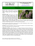 forest management sheet template