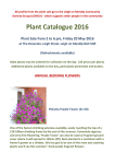 Plant Catalogue 2016 - Leigh-on