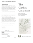 The Clethra Collection