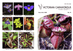 VCPS Dec05 Journal No 78 - Victorian Carnivorous Plant Society