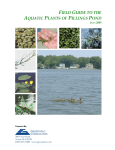 Field Guide to the Aquatic Plants of Pillings Pond