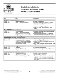 Underused and Hardy Shrubs - Johnson County Extension Office