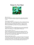 Poison Ivy Fact Sheet - Connecticut Poison Control Center
