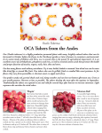 OCA Tubers from the Andes