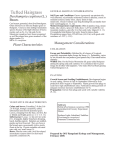 Tufted Hairgrass - Department of Animal and Rangeland Sciences