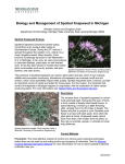 Biology and Management of Spotted Knapweed in