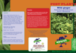 pest plants - Marlborough District Council