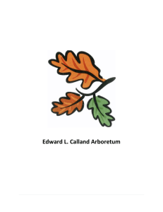 Edward L. Calland Arboretum