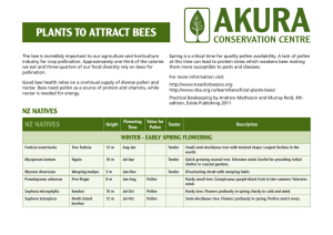 PLANTS TO ATTRACT BEES