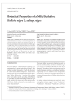 Botanical Properties of a Mild Sedative: Ballota nigraL. subsp. nigra