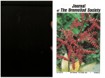 Journal r The Bromeliad Society