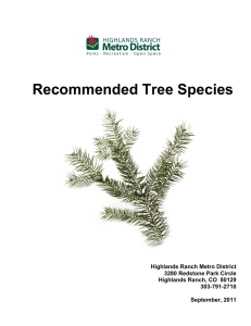 Recommended Tree Species - Highlands Ranch Metro District