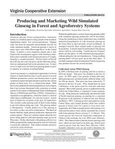 Producing and Marketing Wild Simulated Ginseng in