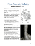 PDF - CLIMBERS - University of Michigan