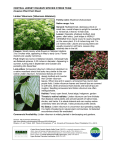Invasive Plants Fact Sheet - Friends of Hopewell Valley Open Space